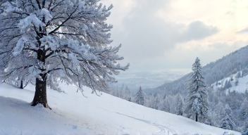 Kulturelle Einflüsse von Musik auf Wintertechniken (10/10)