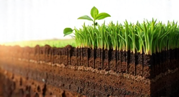 Der richtige Schichtaufbau: Nährstoffe optimal nutzen (5/10)